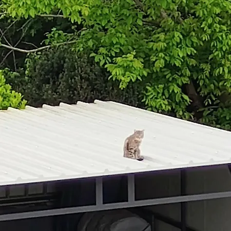 Appartement Moon Light-free Parking Rijeka