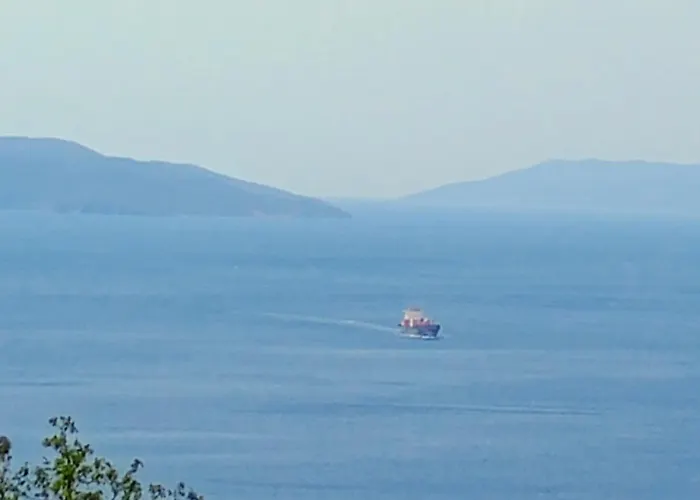 Apartment Moon Light-free Parking *