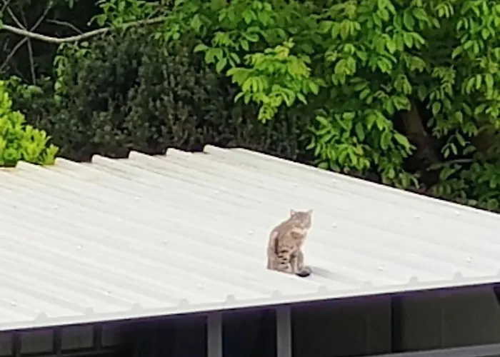 Apartment Moon Light-free Parking Rijeka