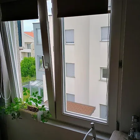 Apartment Moon Light-free Parking *