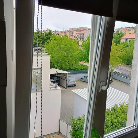 Moon Light-free Parking *