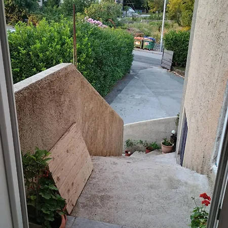 Moon Light-free Parking